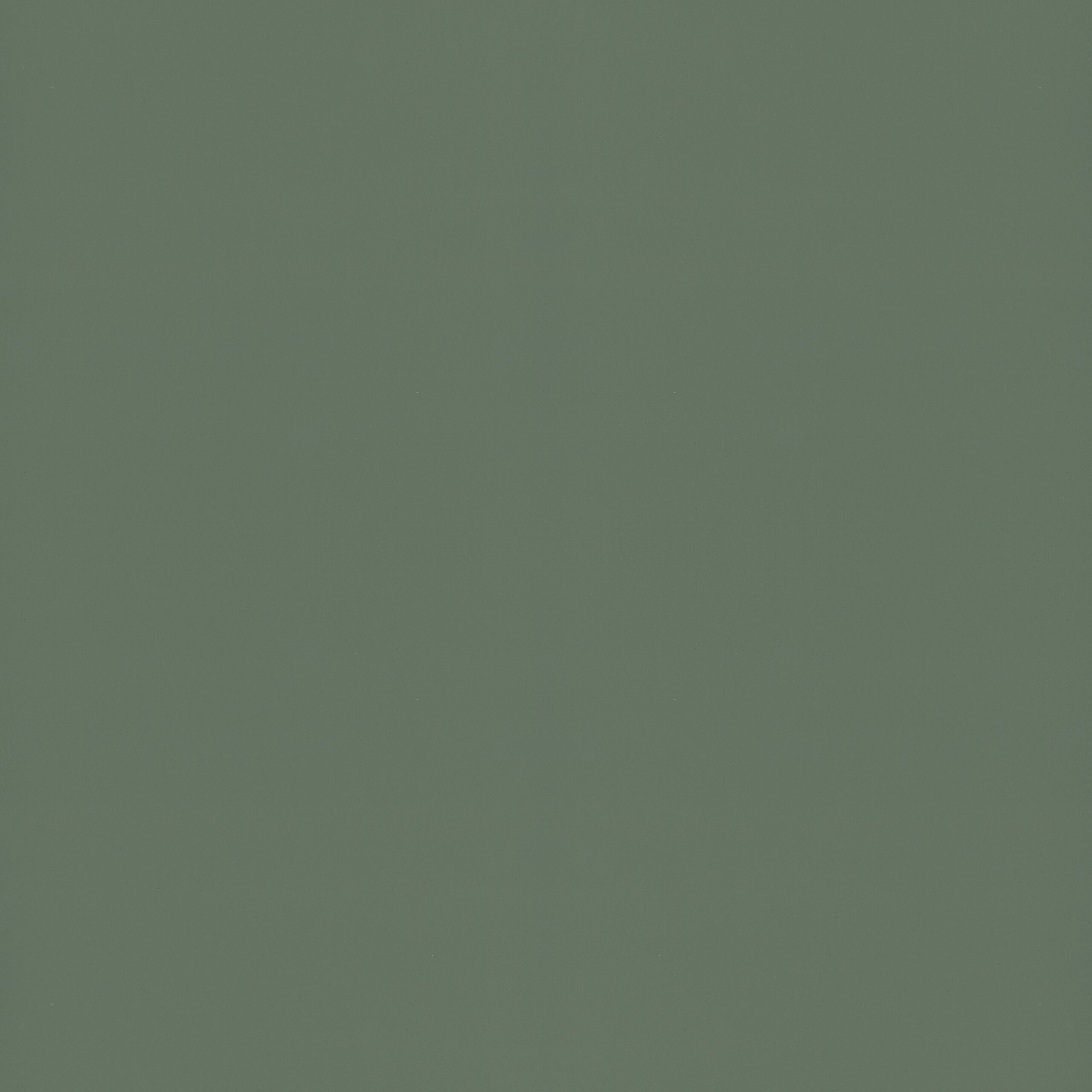 LINOIL BOSCO