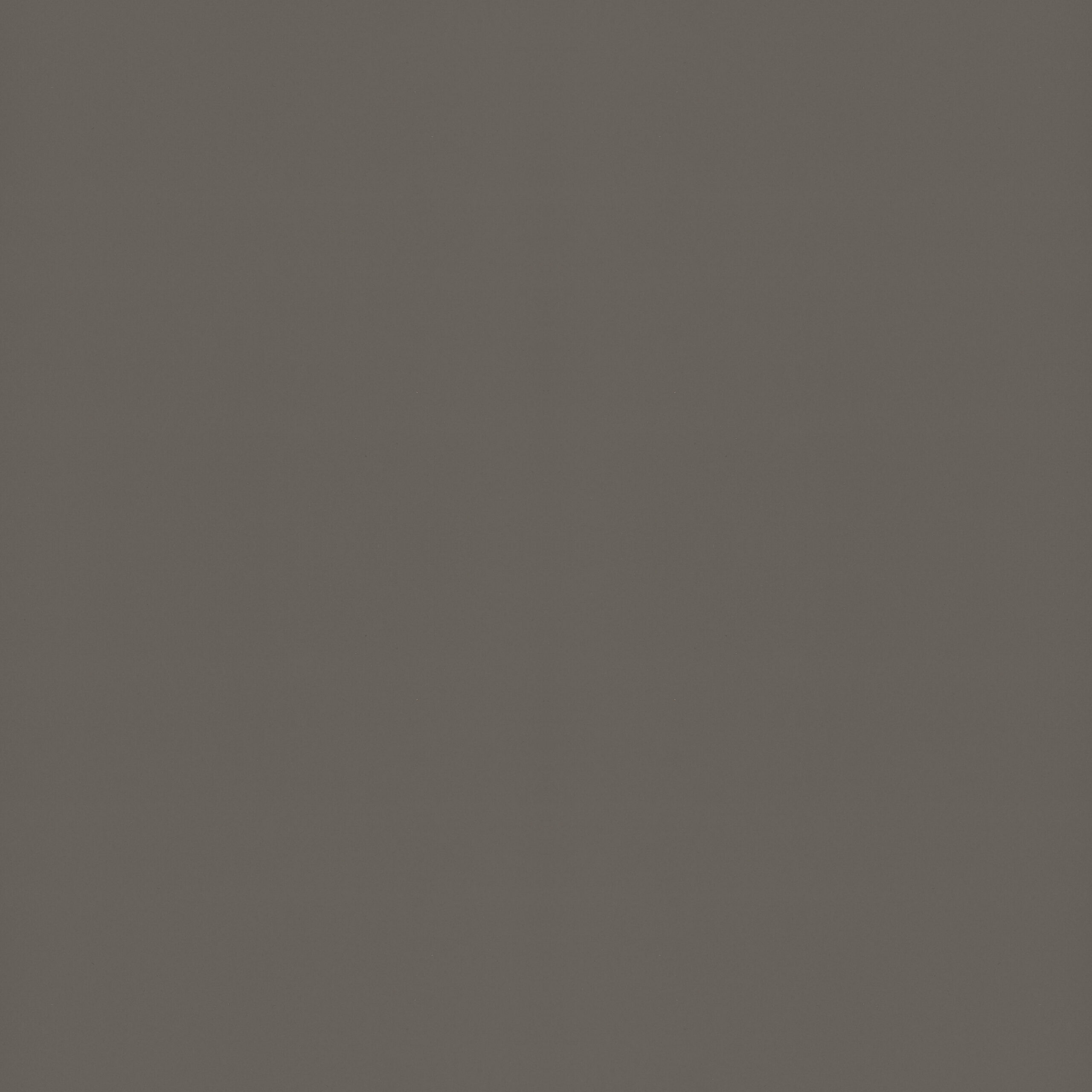 LINOIL CORTECCIA